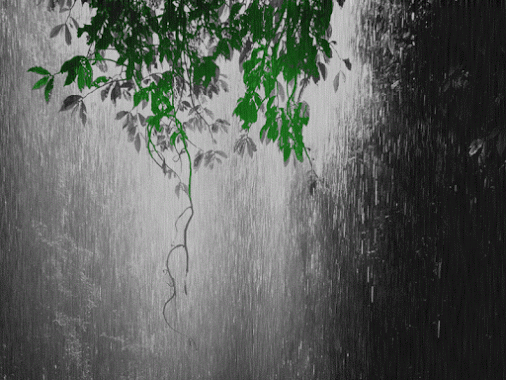 falling_rain