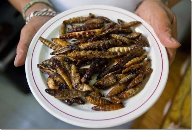 Deep Fried Worms